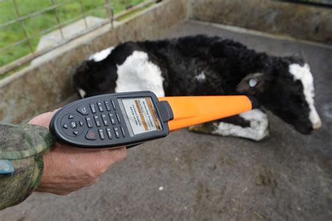 rfid sheep tag reader|gallagher tag reader download.